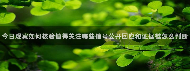 我要吃瓜网