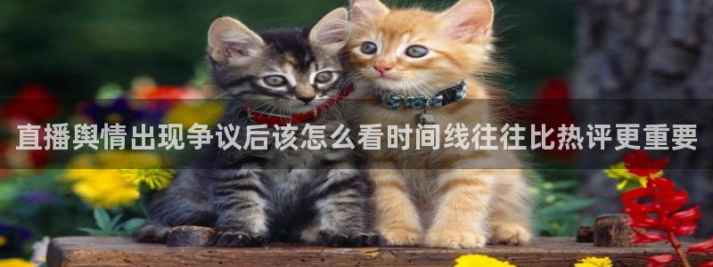 吃瓜网51