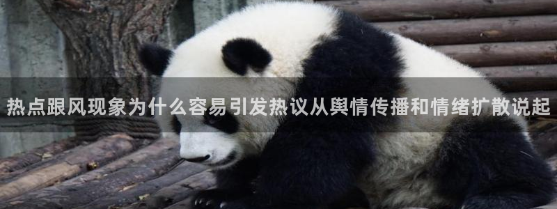 网红吃瓜