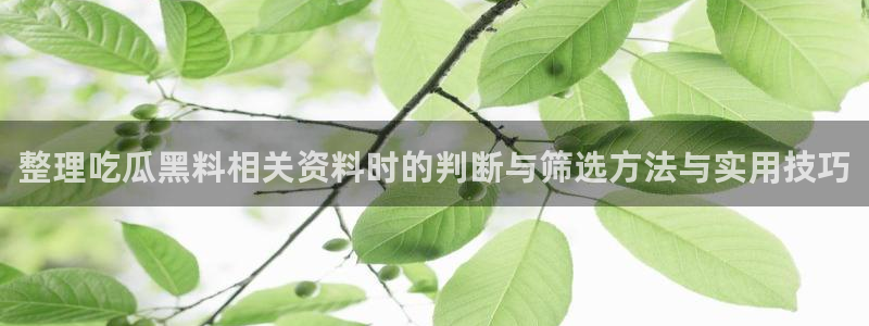 吃瓜网站:整理吃瓜黑料相关资料时的判断与筛选方法与实用技巧