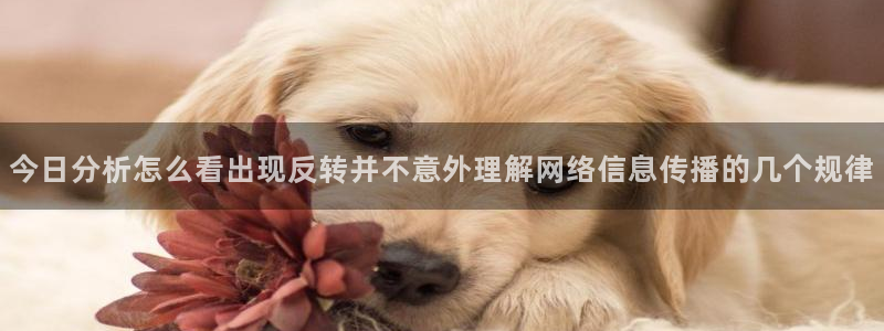 吃瓜爆黑料:今日分析怎么看出现反转并不意外理解网络信息传播的几个规律