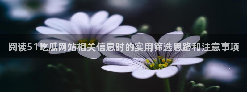 我要吃瓜:阅读51吃瓜网站相关信息时的实用筛选思路和注意事项
