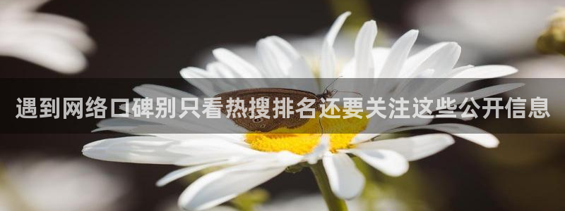 最新吃瓜:遇到网络口碑别只看热搜排名还要关注这些公开信息